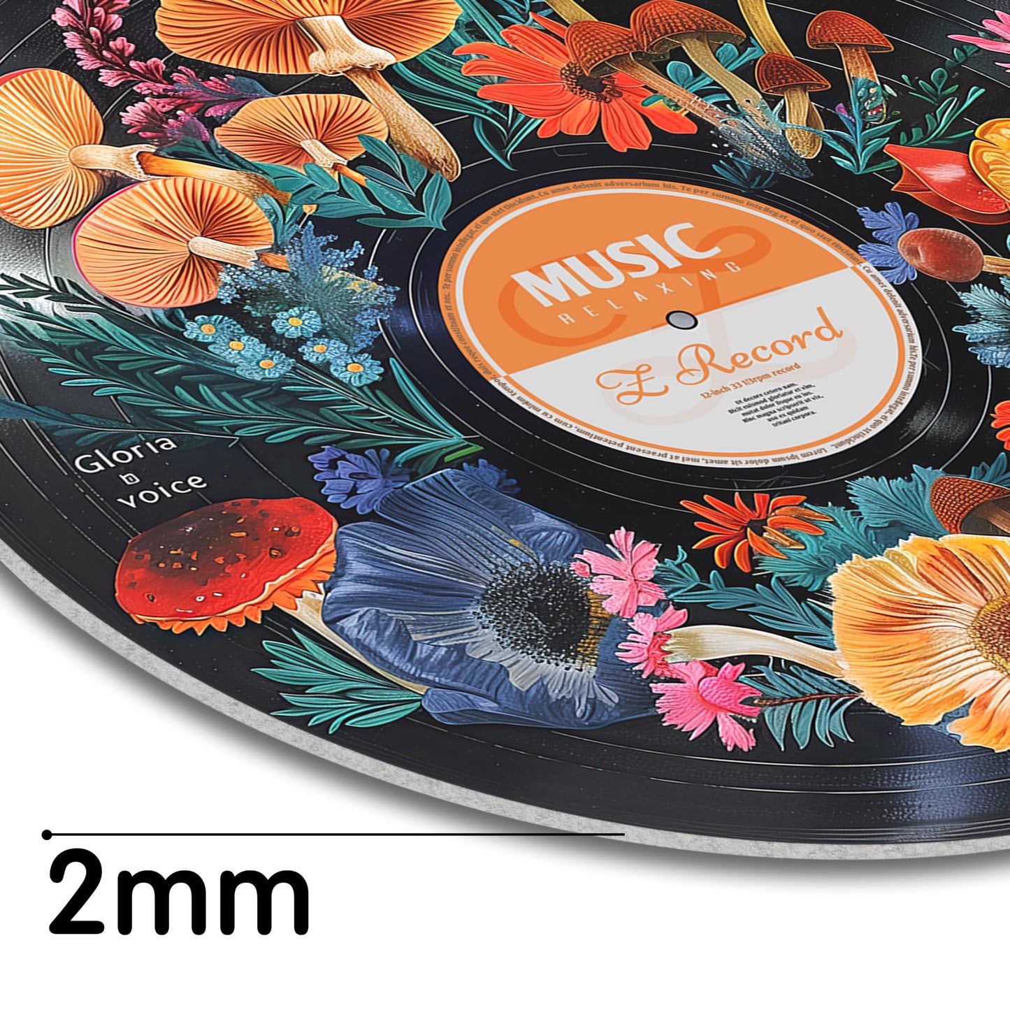 HK Studio Hippie Decor, Posters for Room Aesthetic - Botanical Wall Art, Record Decor, 4pcs 12"