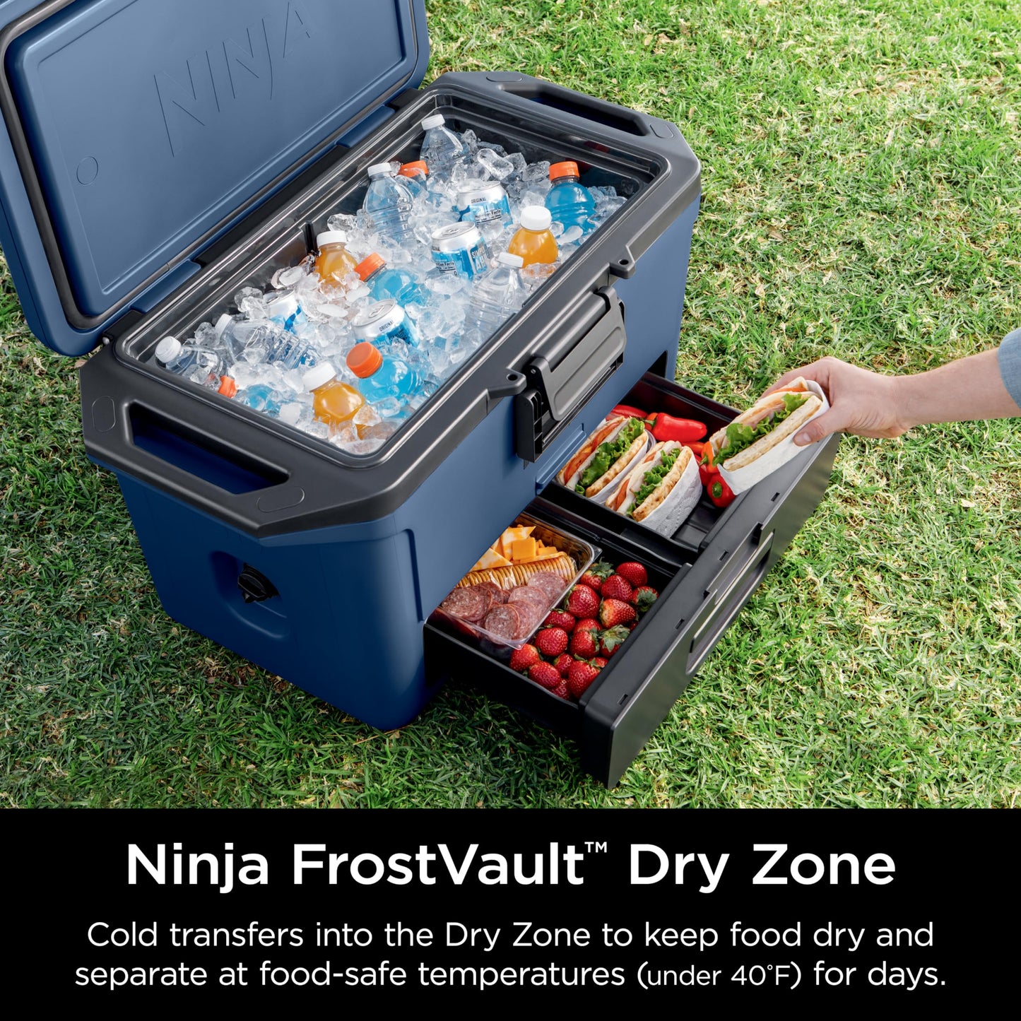 Ninja FB151BL FrostVault 50qt Hard Cooler with Dry Zone, Integrated Fridge-Temp Dry Storage Drawer, Premium Heavy-Duty Insulated Cooler, Keeps Ice for Days, Lakeshore Blue