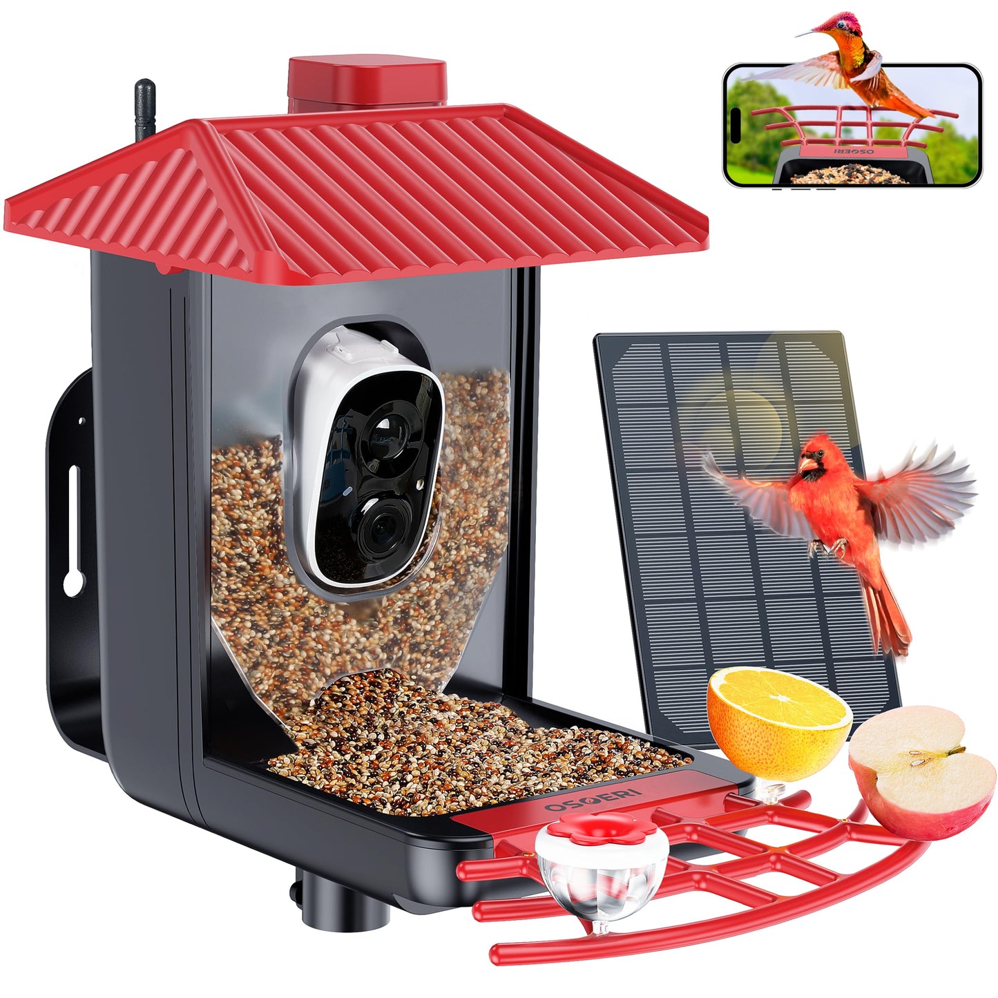 Osoeri Bird Feeder with Camera, Smart AI Identify Wild Bird Feeders Camera, 1080P Auto Capture Bird's Video & Motion Detection, with DIY Add-ons & Hummingbird Feeder, Gifts for Bird Lover (Red Black)
