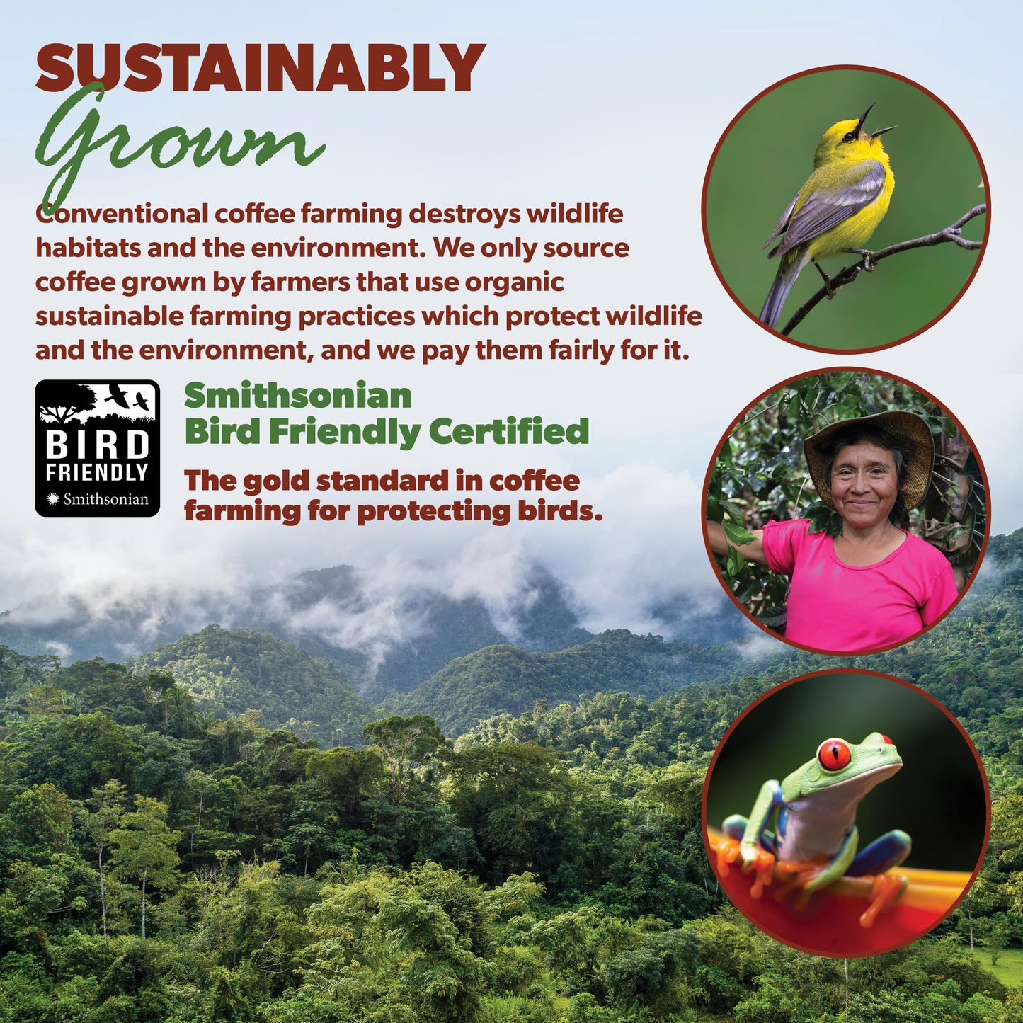 Low Acid Organic Coffee – Whole Bean, Mold-Free & Stomach Friendly by Java Planet, Colombian Single Origin Coffee, Medium Dark Roast, Smooth Full Flavored, 1LB Bag