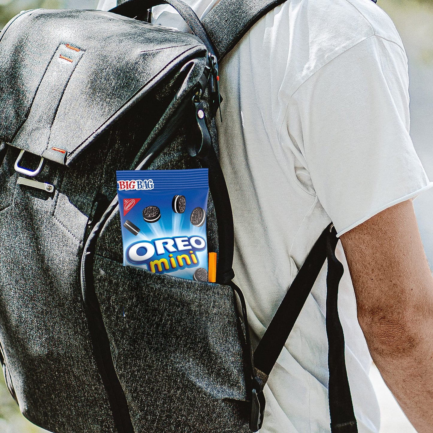OREO Mini Cookies, CHIPS AHOY! Mini Cookies, Nutter Butter Bites & RITZ Bits Cheese Crackers Variety Pack, 15 Big Bags