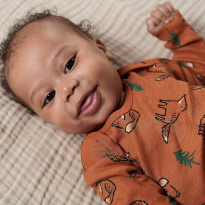 Gerber Baby Boys' 6-Pack Long-Sleeve Onesies Bodysuit, Green Fox