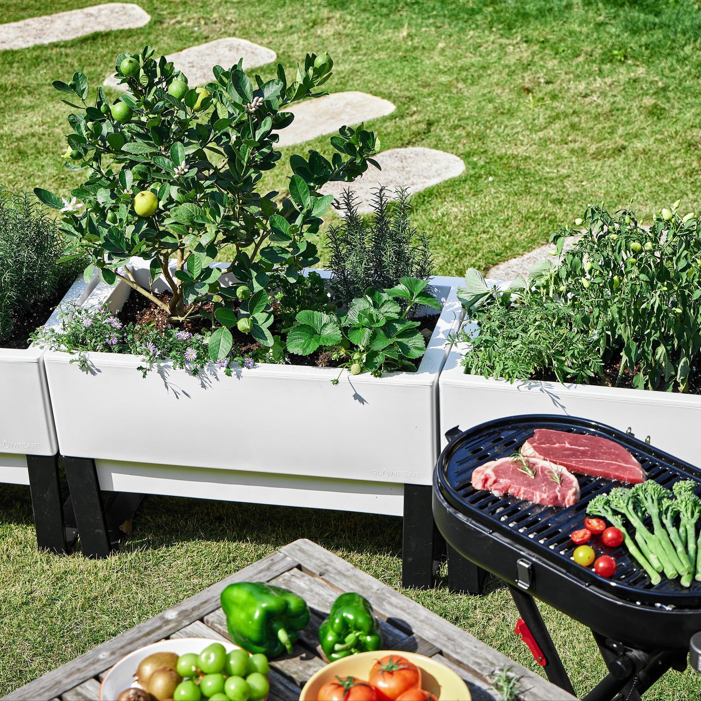 Glowpear Self Watering Planter Box - 29.5", White - UV Stable, Scalable Urban Raised Garden Bed with Water Gauge, Indoor Outdoor for Vegetables, Flowers, Herbs, and Succulents, Gardening