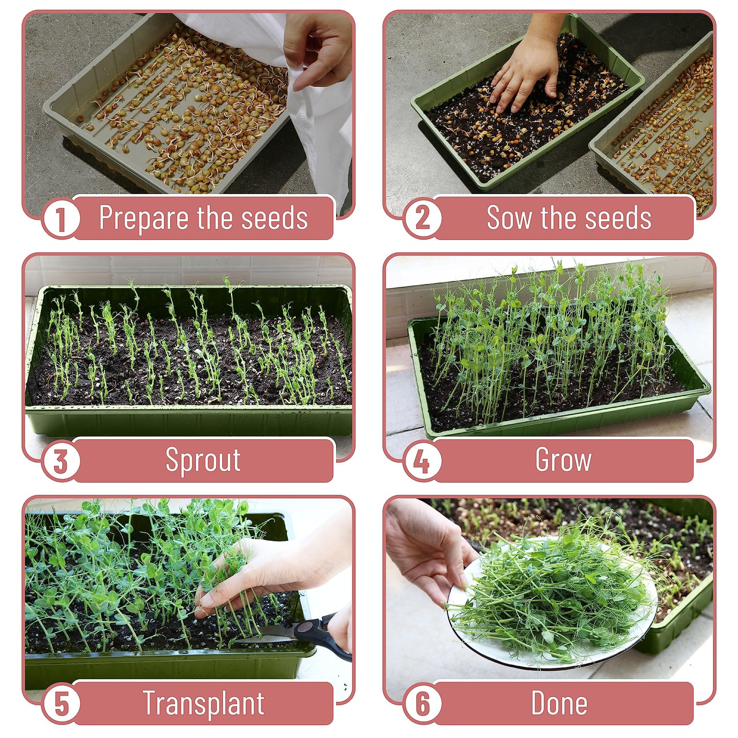 Mr. Pen-Plastic Growing Trays, 5 Pack, Plant Tray, Seed Tray, Propagation Tray