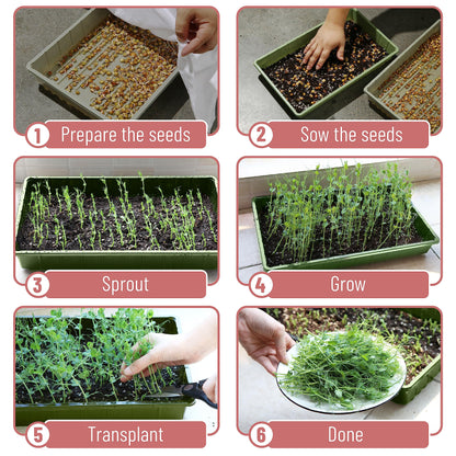 Mr. Pen-Plastic Growing Trays, 5 Pack, Plant Tray, Seed Tray, Propagation Tray